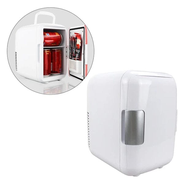 4L portable mini fridge cooler and warmer