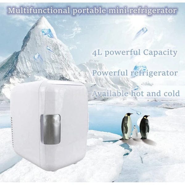 4L portable mini fridge cooler and warmer