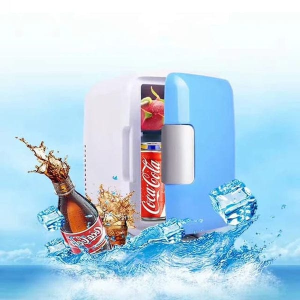 4L portable mini fridge cooler and warmer